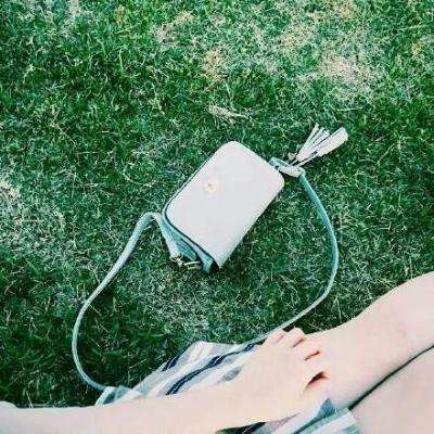 葡萄游戏厅破解版下载